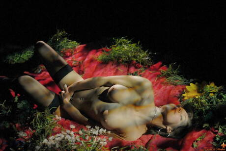 Louis De Mirabert are excited to present you with a picture gallery showcasing Softeyes xxx gallery 133594